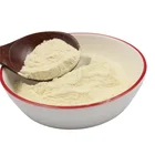 OEM Factory Price HACCP/ISO22000/HALAL Certified Probiotics Powder Bulk 100Bcfu/g Bifidobacterium Longum