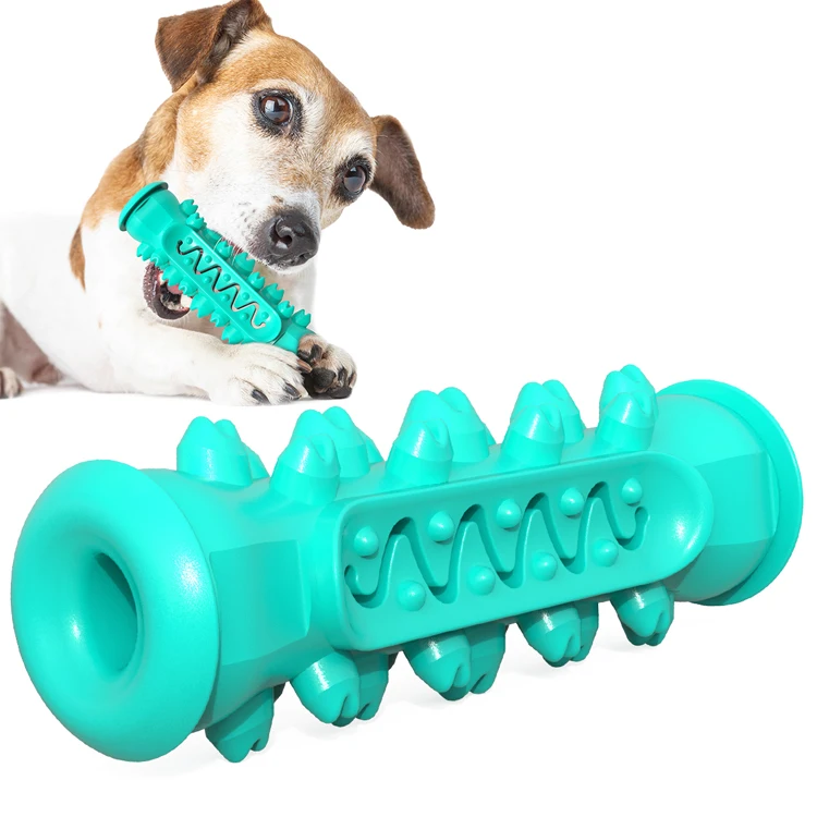 dog tooth brushing chew toy