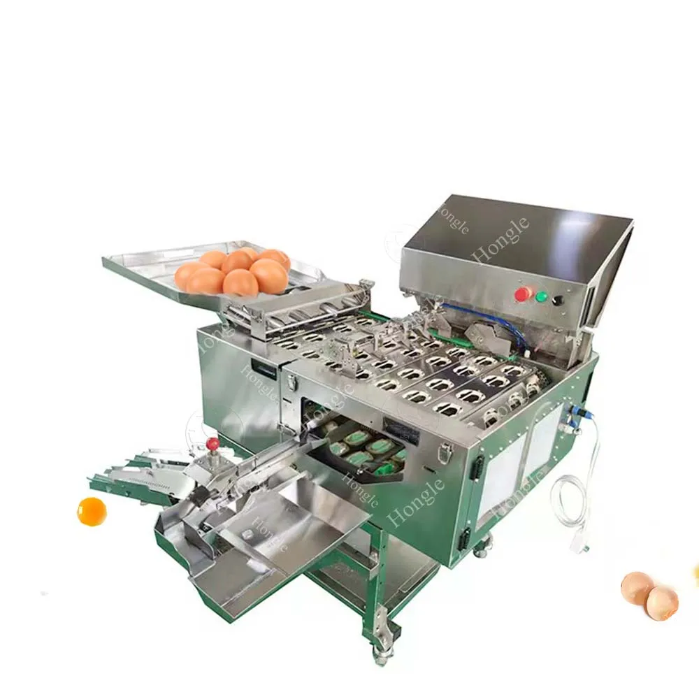 Liquid Egg Production Line for Small Egg Powder Making Pasteurization Machine Egg Breaker Yolk Separating Machine factory