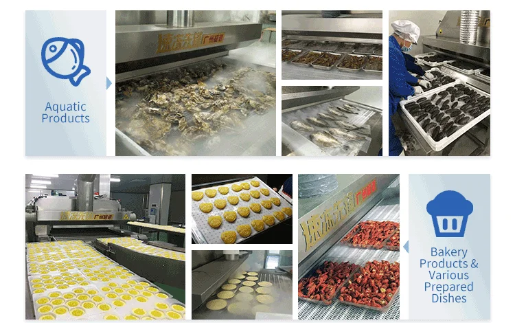Blast Freezer, IQF, 500kg - detail 12