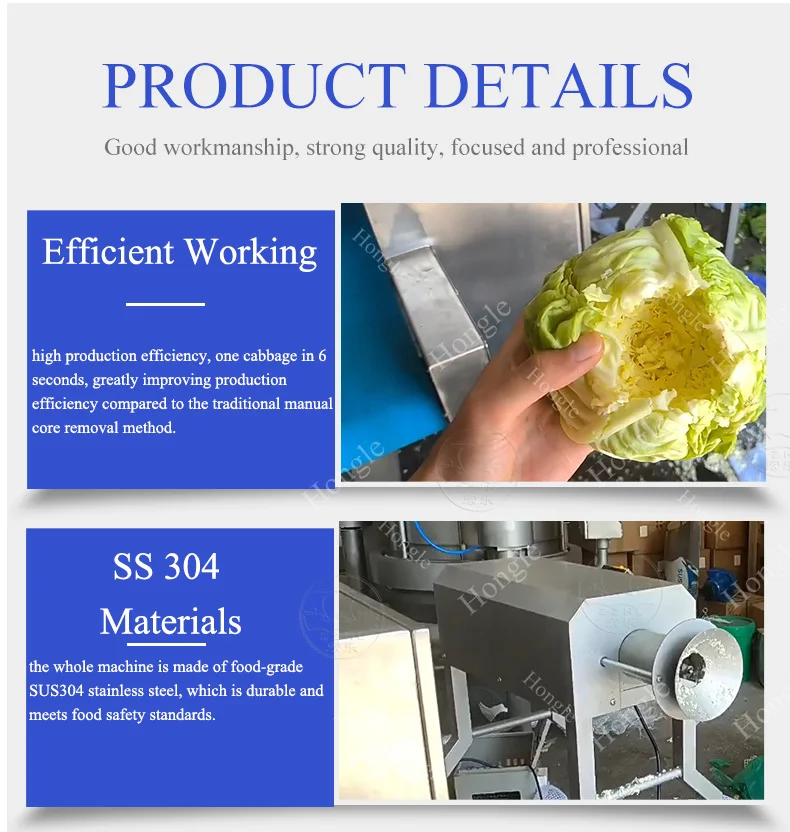 Wholesale Automatic Stainless Steel Vegetable Coring Machine for Cabbage, Broccoli, and Pepper manufacture