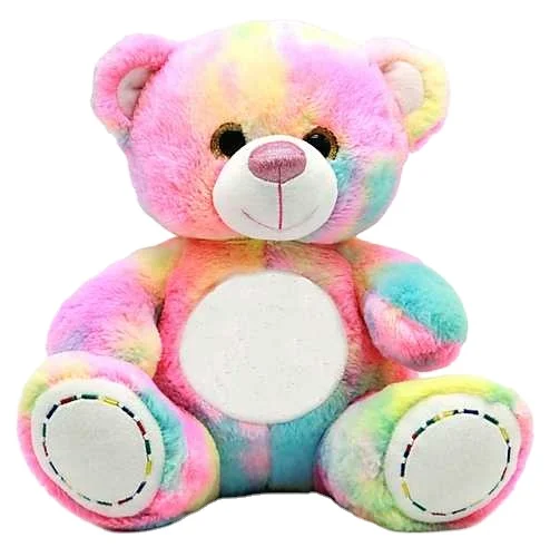 pastel rainbow teddy bear