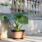 Planter Wood Pots Wooden Barrel Planter Garden Small Wooden Barrel Planter Acacia Wood Pots For Flower