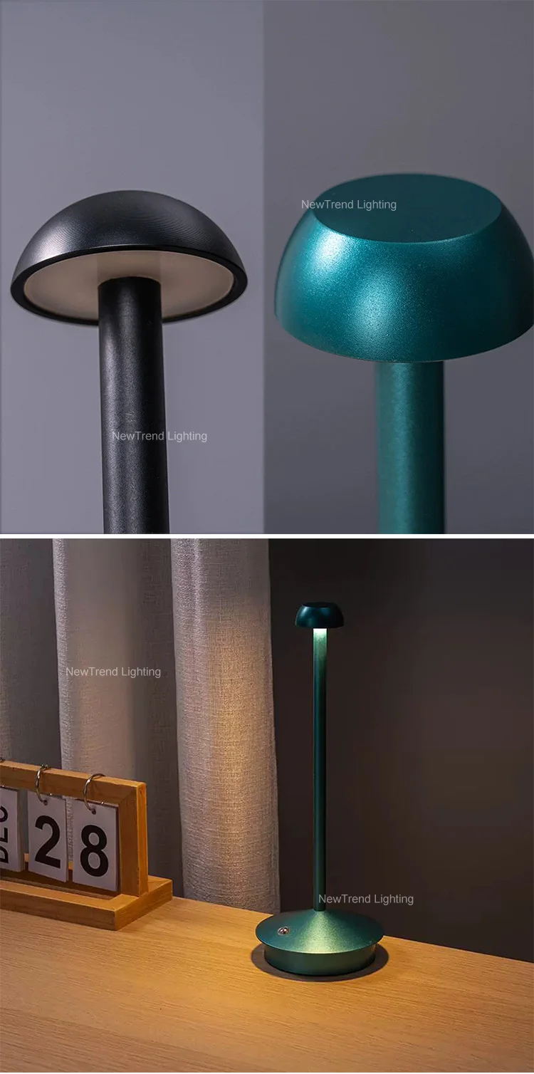 dxzp08 simple indoor decoration night light home study room 3000 4000 6000 k dimming modern led rechargeable table lamp-3