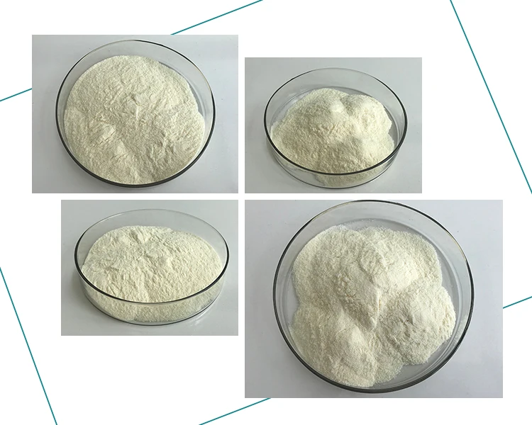 S-Adenosylmethionine SAMe Powder S-Adenosyl methionine