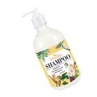 Shampoo Shampoo Prices Guangzhou Shampoo Suppliers Custom Logo Natural Anti Lice Tea Tree Hemp Shampoo