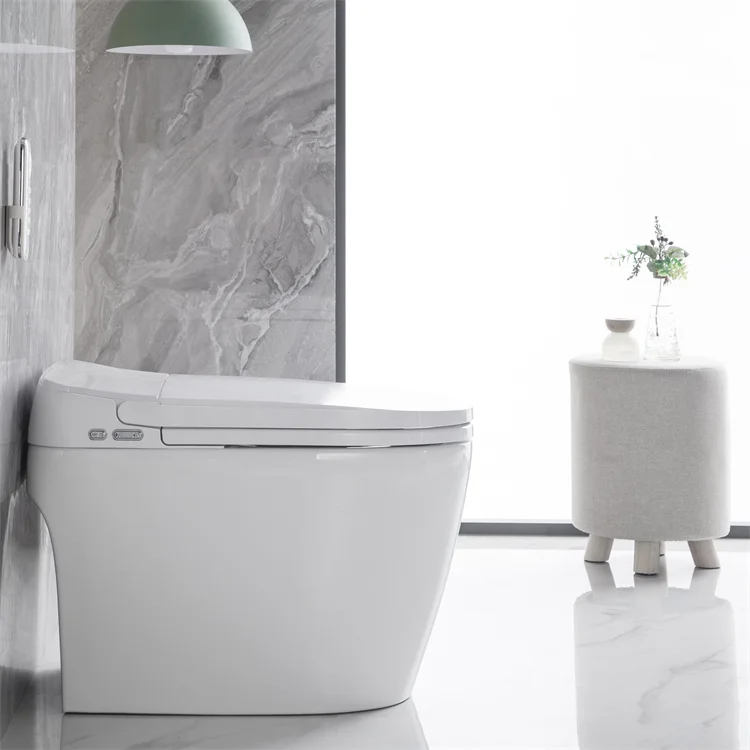 Modern Automatic Flush Wc Toilet Bowls Water Closet Smart No Water