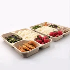 Food Containers Compostable Paper Separates School Lunch Trays Disposable Biodegradable Takeaway Food Containers