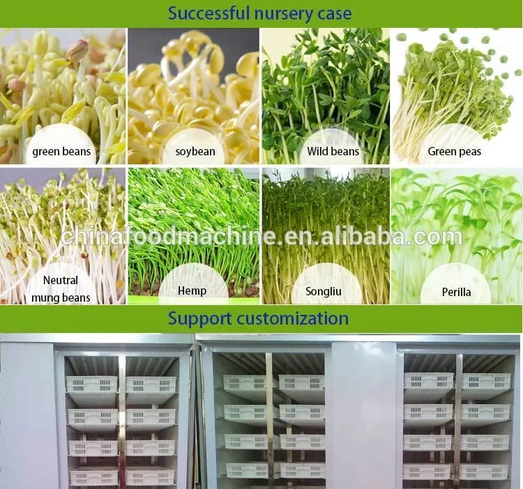 Commercial Industrial Automatic Mung Green Bean Sprout Peeling Cleaning Machine Fruit & Vegetable manufacture