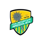 Team Patch Factory Sale Various Custom Sports Team Crest Patch Woven Patch For Club And Sport Team