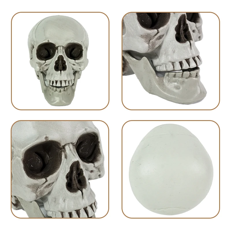 Light Weight Party Garden Decoration Plastic Adult Size Halloween Human Skull