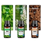 Essential Oil Aromatherapy Essential Oil A Variety Of Fragrance High Quality Lavender OEM/ODM Fragrance Oil
