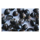 Shellfish Factory Supplier Best Selling Products Frozen White River Clam In Shellfish
