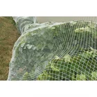 Cheap Netting Cheap HDPE Knitted Agriculture Farm Anti Bird Prevention Netting Support