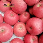 Apple Apple China Red Apple Fuji Fresh Apple