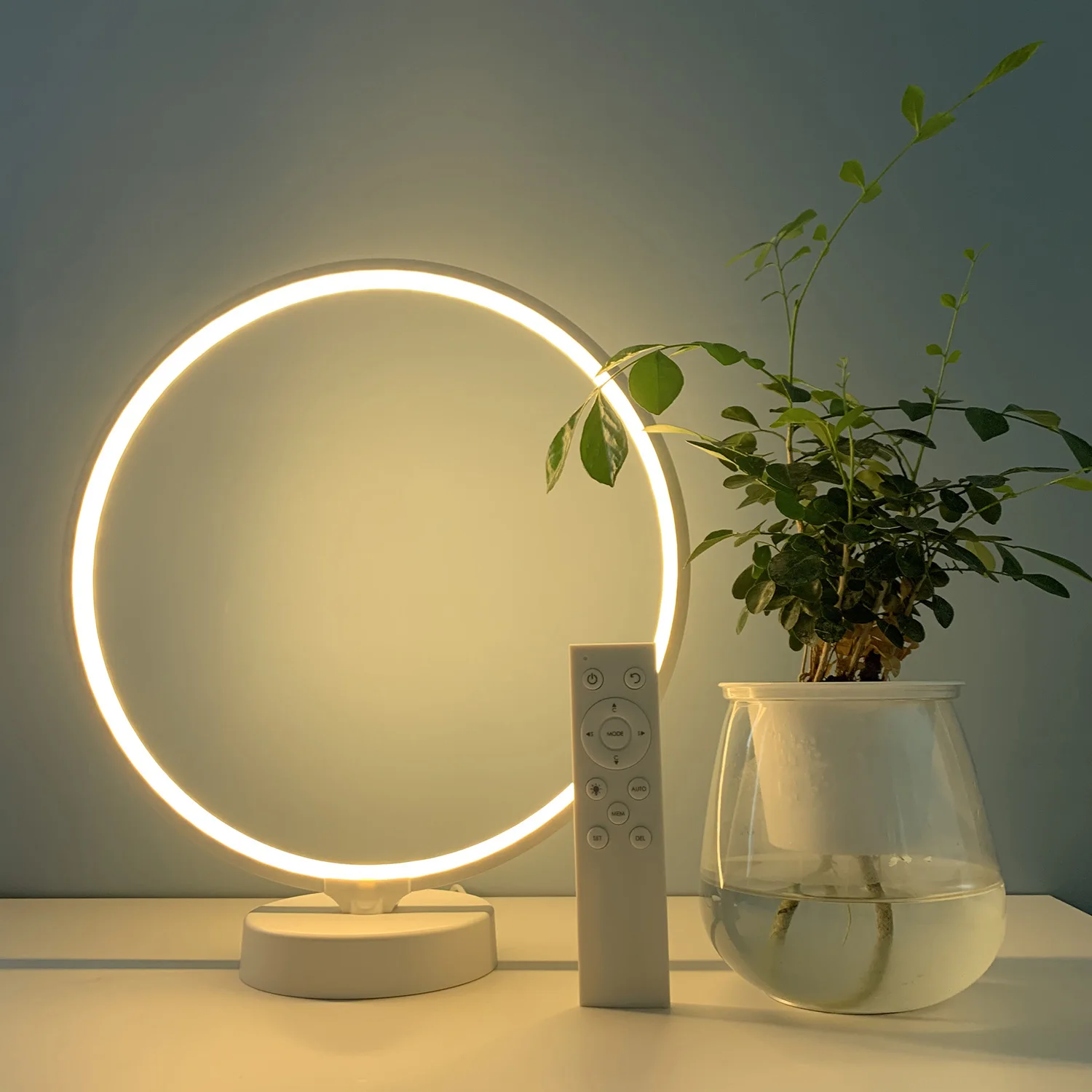 rgbw ring mood light