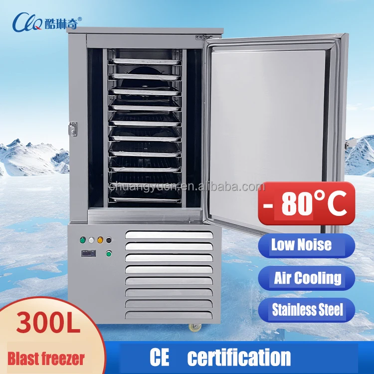 Blast Freezer, Stainless, Steel - detail 2