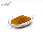 Herb Best Price Factory Supply Ratio Extract Cat's Claw Herb Extract In Bulk