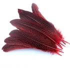 Natural Wing Natural Dyed 15-20cm Pheasant Feathers Guinea Fowl Pheasant Wing Feather