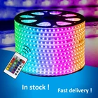 Rgb Light Rgb Rgb Light Ctorch RGB Garden Light Star Rope Light Tower Led Strip