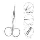 Custom Professional Curved Blade Salon Beauty Grooming Eyebrow Pedicure Manicure Cuticle Nail Scissors