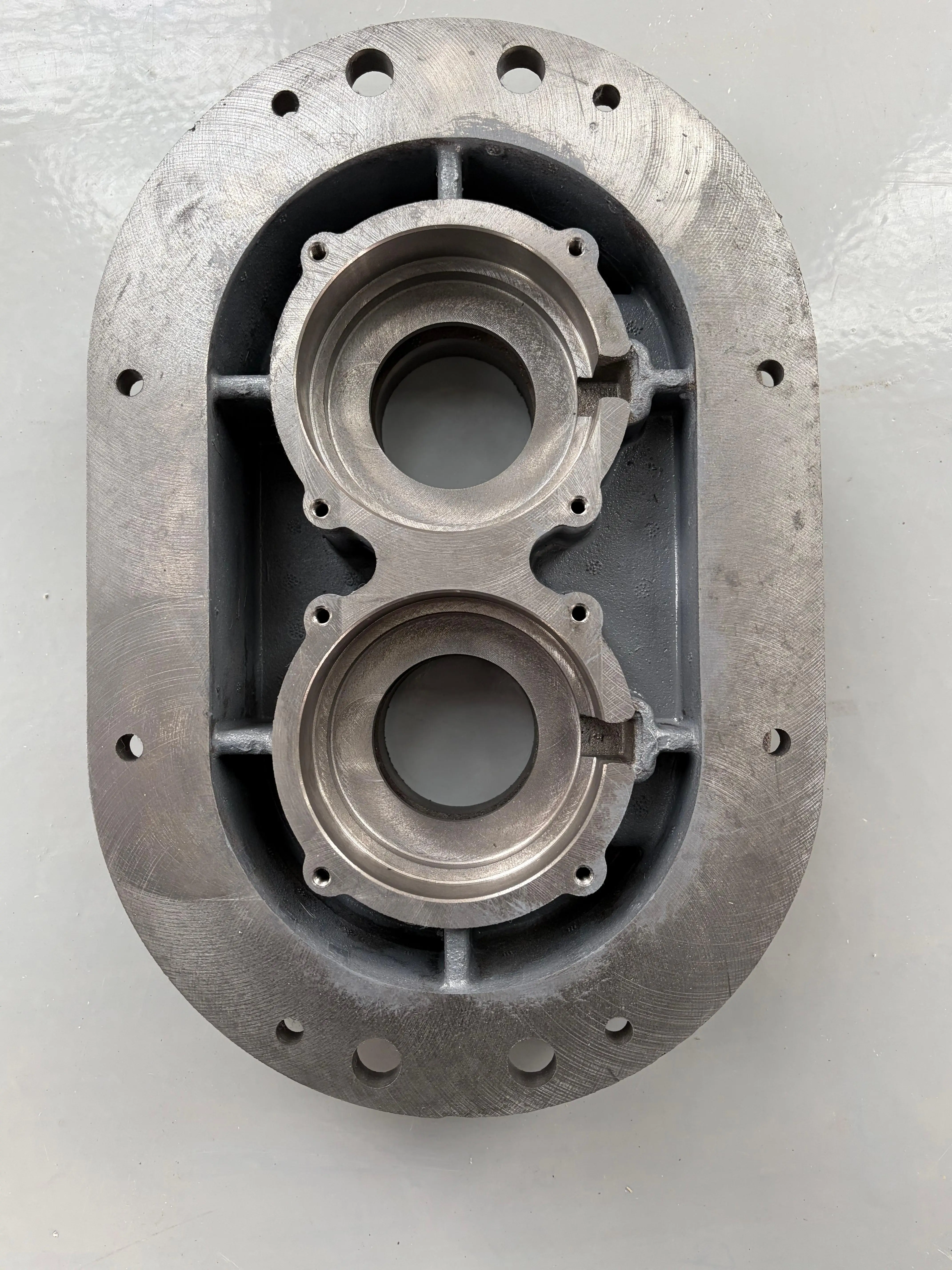 Roots Blower, LOGTTECH, 5hp, Cast - detail 18