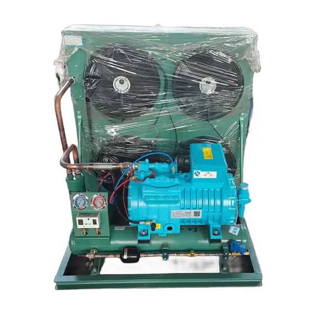 New Walk-In Freezer Condensing Unit with Energy-Saving Compressor Motor Automatic Competitive Price Hotel Refrigeration Systems