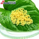 Sp Adsorbent Resin Adsorbent Resins For Tea Polyphenols Extraction Equal To SEPABEADS SP 700
