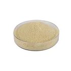 Agent Professional China Manufacturer Offer High Quality Oill Well Drilling Fluid Loss Agent Starch
