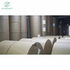 Paper China Paper Manufacturer Paper Cup Paper Food Grade Single Wall Pe Coated Paper Cup Raw Material Roll Wholesale