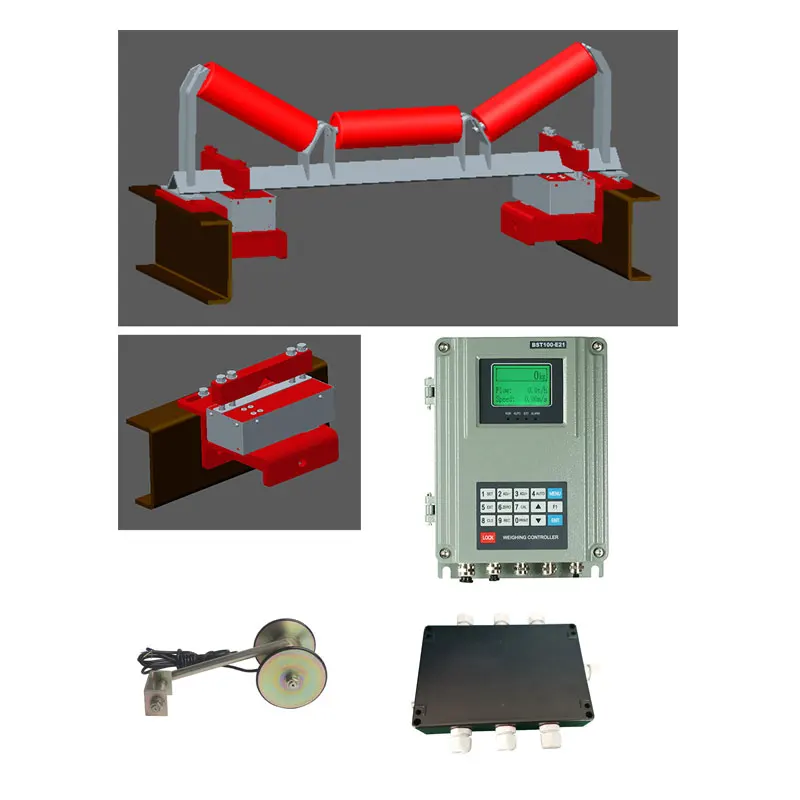 belt weighing system