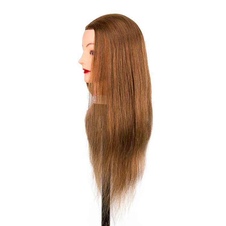 Human Hair Extension Half Body Female Mannequin With Head - Buy Mannequin  Heads With Long Hair,Hair Styling Head Mannequin,100%human Hair Mannequin  Head Product on 