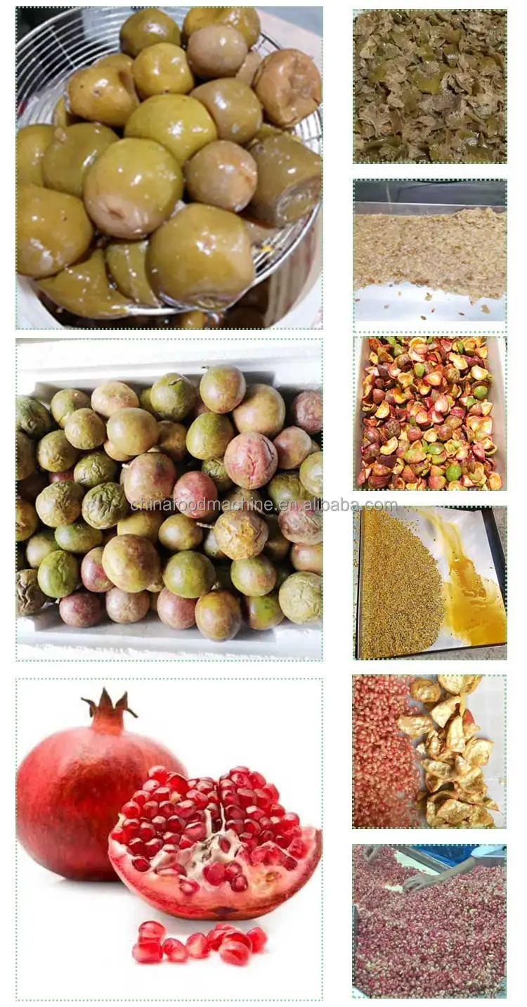 Lotus Seeds Skin Removing Passion Fruit Making Peeling Juice Machine Processing Line Pomegranate Peeler Machine factory