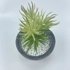 Garden Flower Garden Flower Pot Flower Stand Bonsai Indoor And Outdoor Decoration