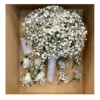 Gypsophila Bouquet