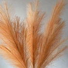 Flowers For Decoration Dried Fluffy Color Large Natural Big Grass Flowers Pampas For Decoration Home Wall