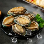 Abalone Captain Jiang FROZEN ABALONE IN SHELL 70-80g/PCS FOR SALE