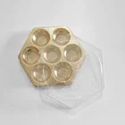 Egg Blister Blister Wholesale High Quality China Egg Packaging Blister Tray For Food Package