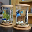 Glass Fish Bowl Transparent Round Small Aquarium Minis Sunsun Aquarium Small Glass Fish Bowl With Bamboo Cover