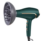Professional 2000W Lightweight Professional Salon Most Powerful BLDC Motor Hair Dryers