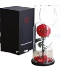 Rose Wholesale Valentines Gift Preserved Rose 7-8cm Natural Preserved Rose In Glass Dome