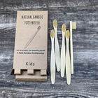 Bamboo Free Sample CE Approved Biodegradable Custom Logo Color Wholesale Natural Kid Eco Bamboo Toothbrush