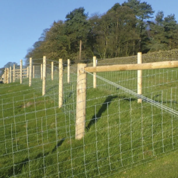 Powder coated green heavy duty fencing trellis welded metal curved fence panels.png