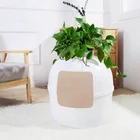 Cat Cat Multifunctional Hidden Plastic Biodegradable Cat Litter Box Tray With Plant Doubles As Cat Furniture Nest