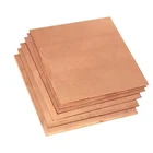 Plate Plate Best Price BeCu C17200 Beryllium Copper Manufacturing Sheet Plate For Electrical