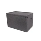 Ice Box Box Cooler Different Capacity Insulated EPP Material Ice Trolley Cooler Box/ice Cream Cooler Box