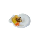 Abalone Factory Manufacture Various Dry Abalone Shellfish Scallop Meat