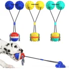 Car Toys High Quality Teeth Cleaning Durable Natural Rubber Interactive Car Toys Dog Feeder Chew Toys Balls