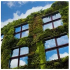 Window Film Anti-UV Decorative Privacy 1 Way Mirror Window Solar Film