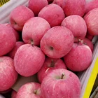 Apple Fuji Fujiapple Apple Fruit Red Fuji China Red Fuji Apple
